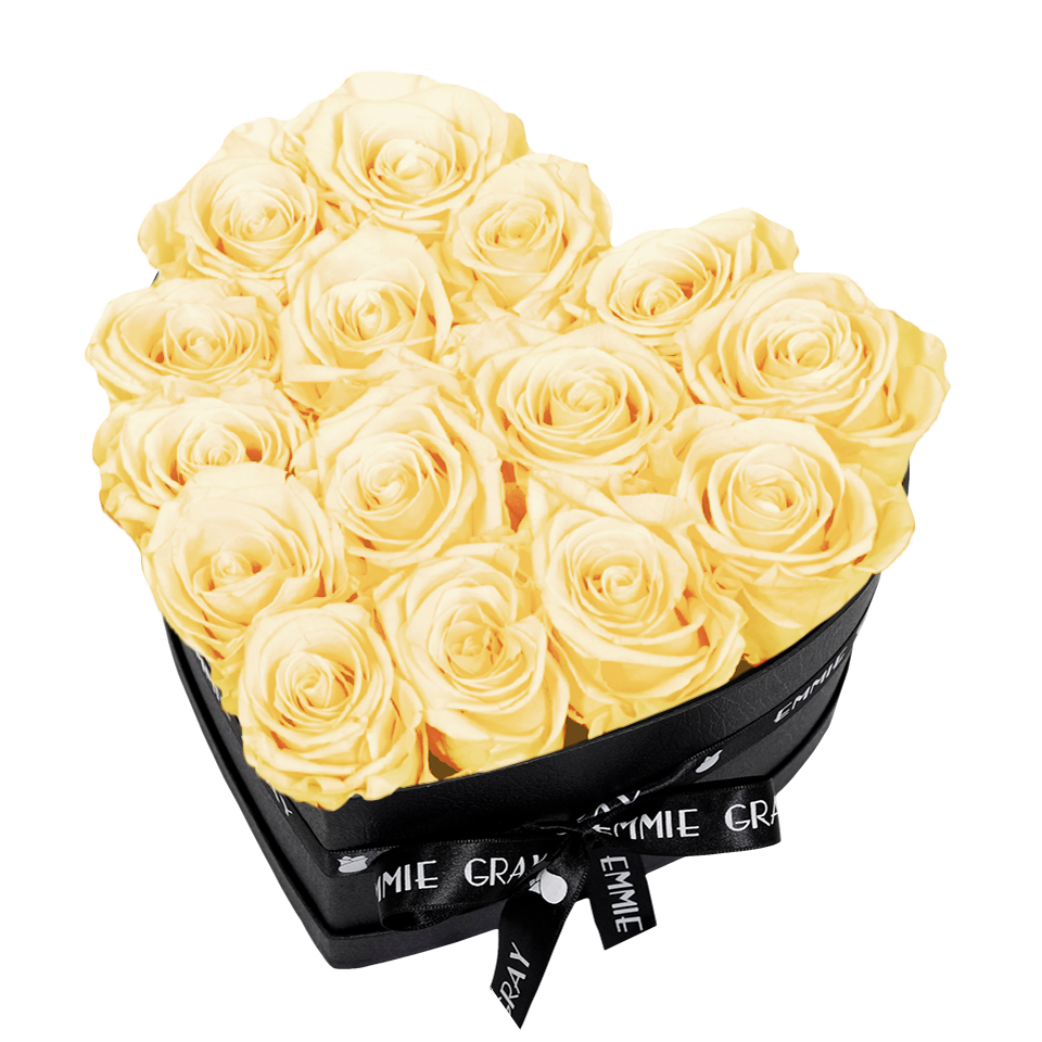 CLASSIC INFINITY ROSEBOX | CHAMPAGNE | M