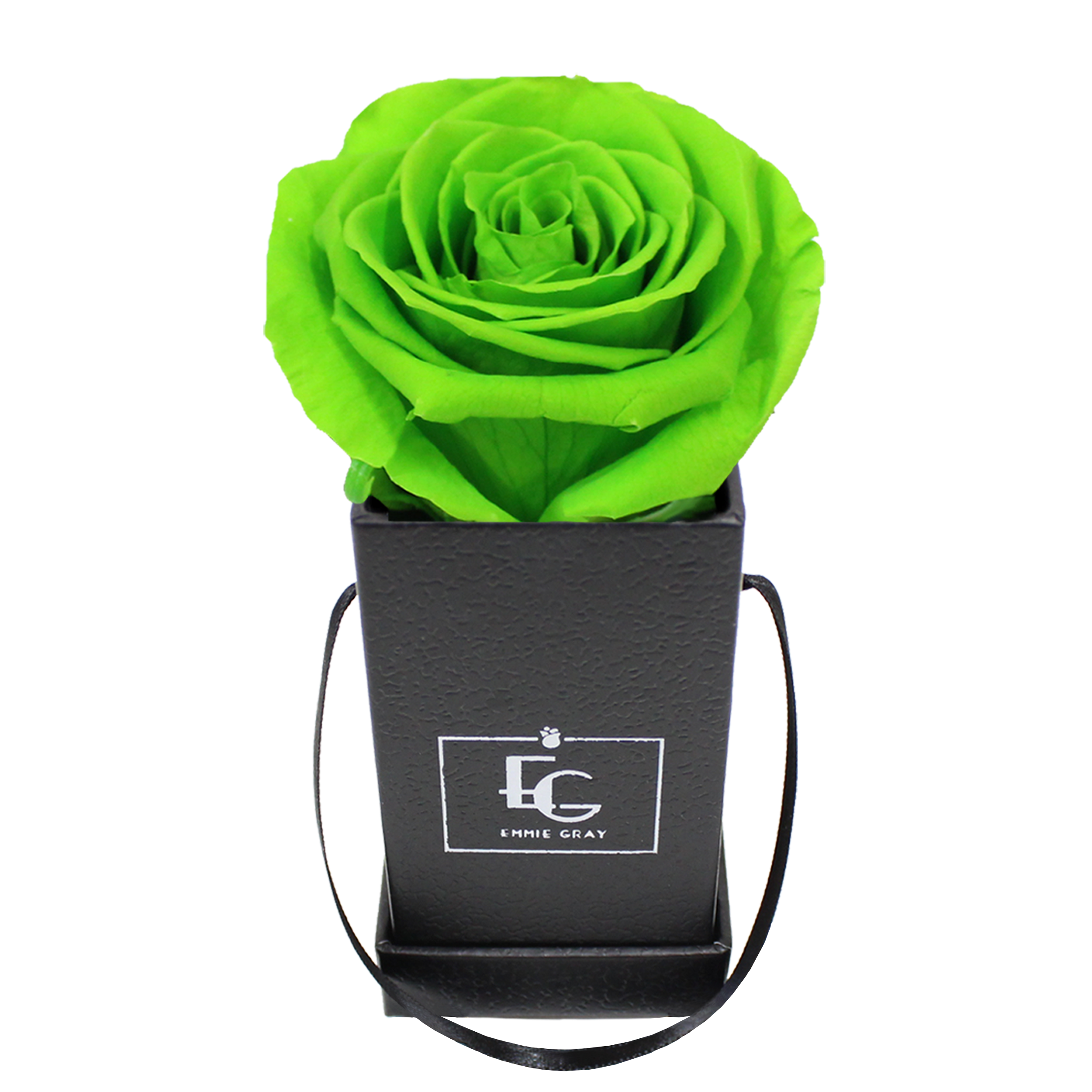 CLASSIC INFINITY ROSEBOX | GREEN GLOW | XXS