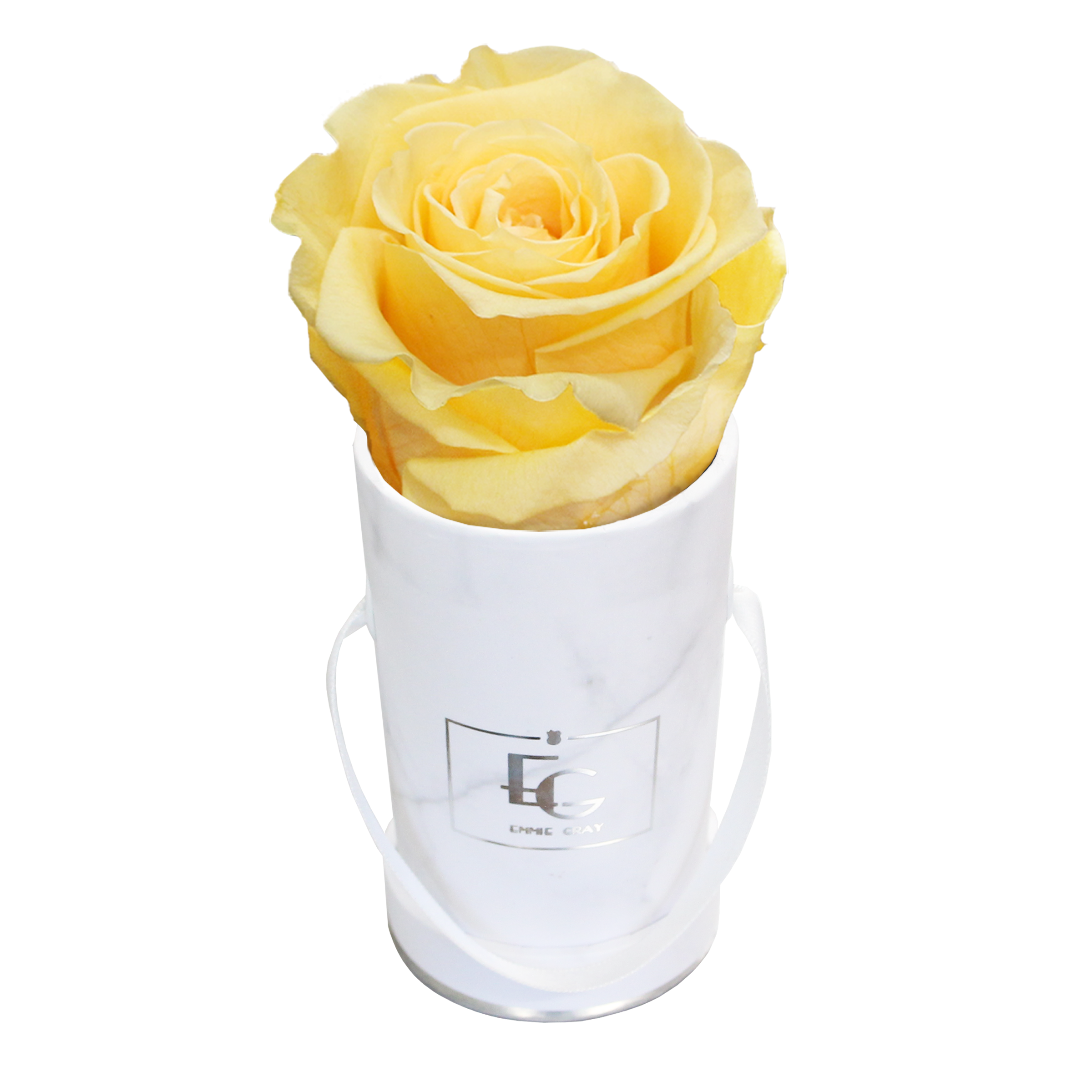 CLASSIC INFINITY ROSEBOX | PERFECT PEACH | XXS