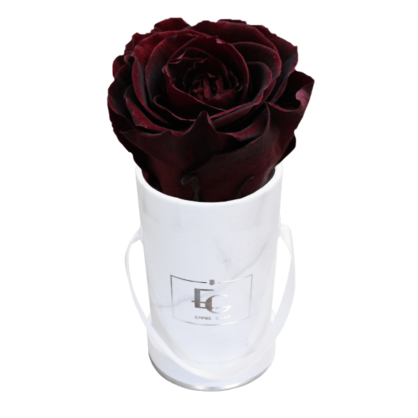 CLASSIC INFINITY ROSEBOX | BURGUNDY | XXS