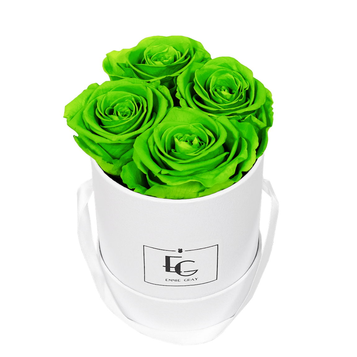 CLASSIC INFINITY ROSEBOX | GREEN GLOW | XS