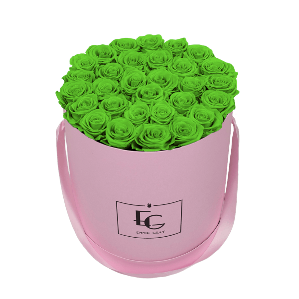 CLASSIC INFINITY ROSEBOX | GREEN GLOW | L