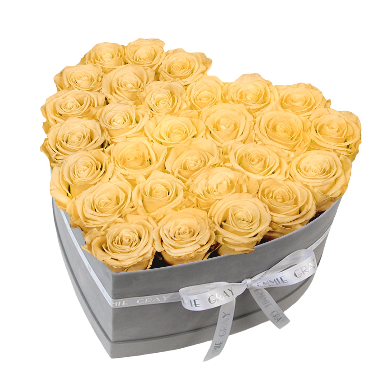 Classic Infinity Rosebox | Champagne | L