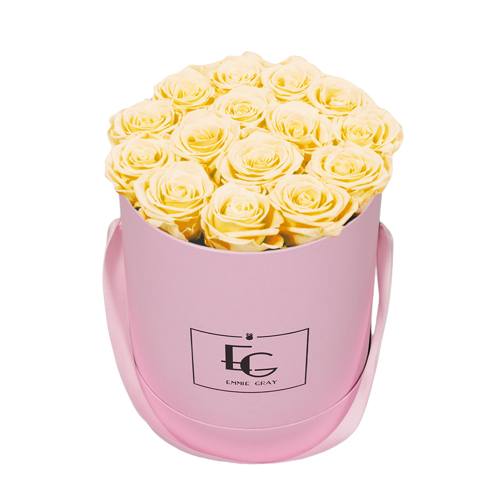 CLASSIC INFINITY ROSEBOX | CHAMPAGNE | M