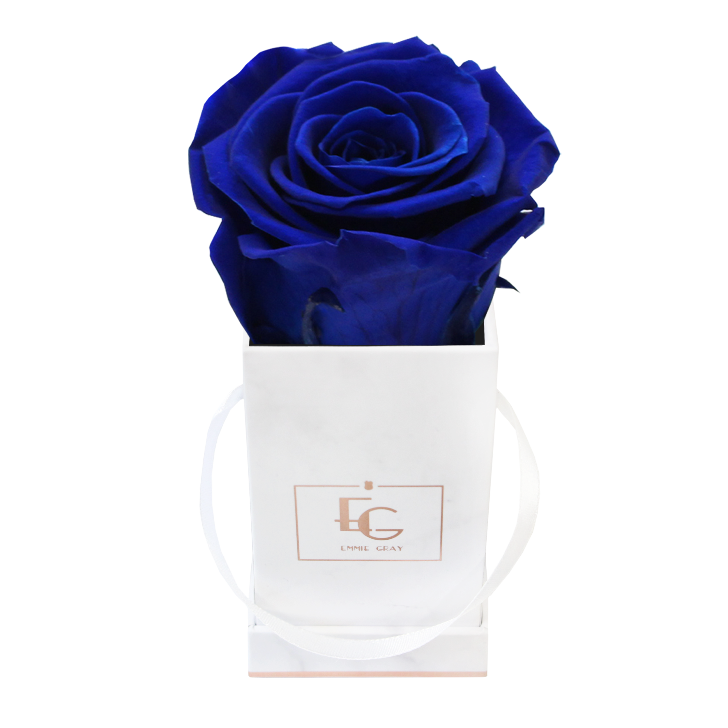 Classic Infinity Rosebox | Ocean Blue | XXS