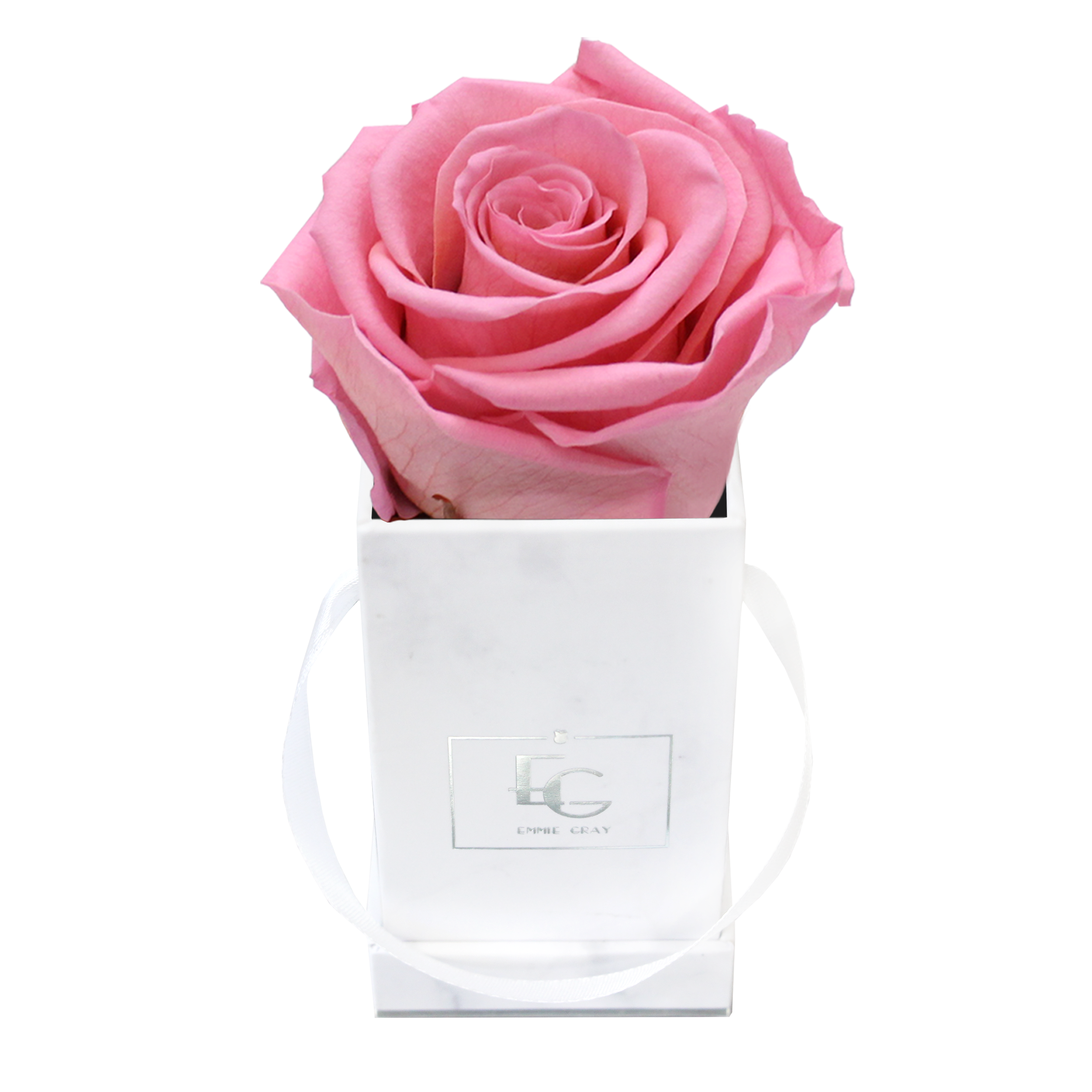 Classic Infinity Rosebox | Baby Pink | XXS