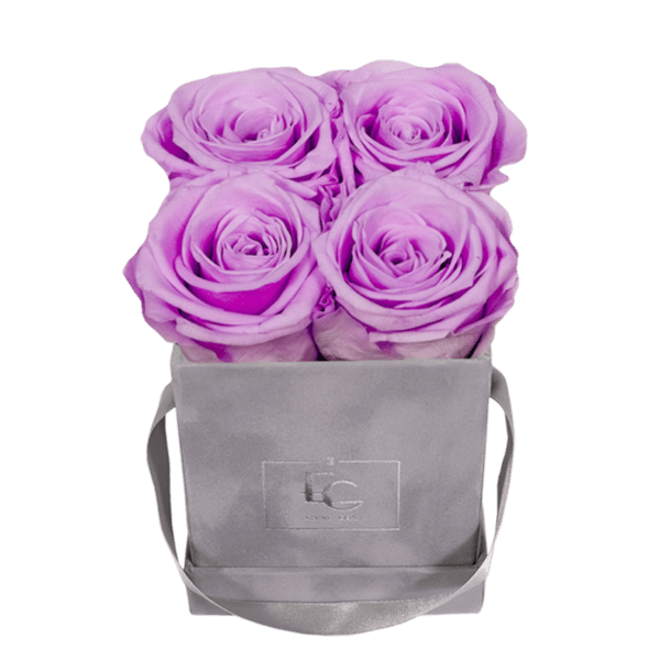 CLASSIC INFINITY ROSEBOX | BABY LILLI | XS