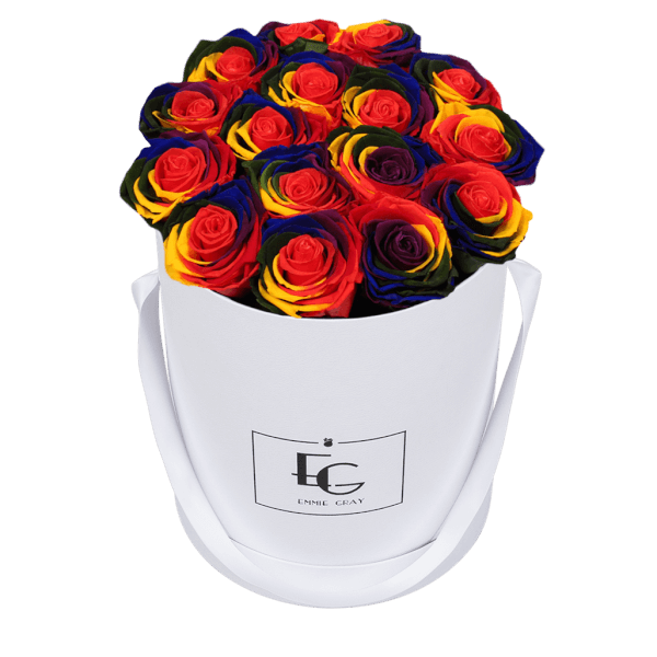 CLASSIC INFINITY ROSEBOX | RAINBOW | M