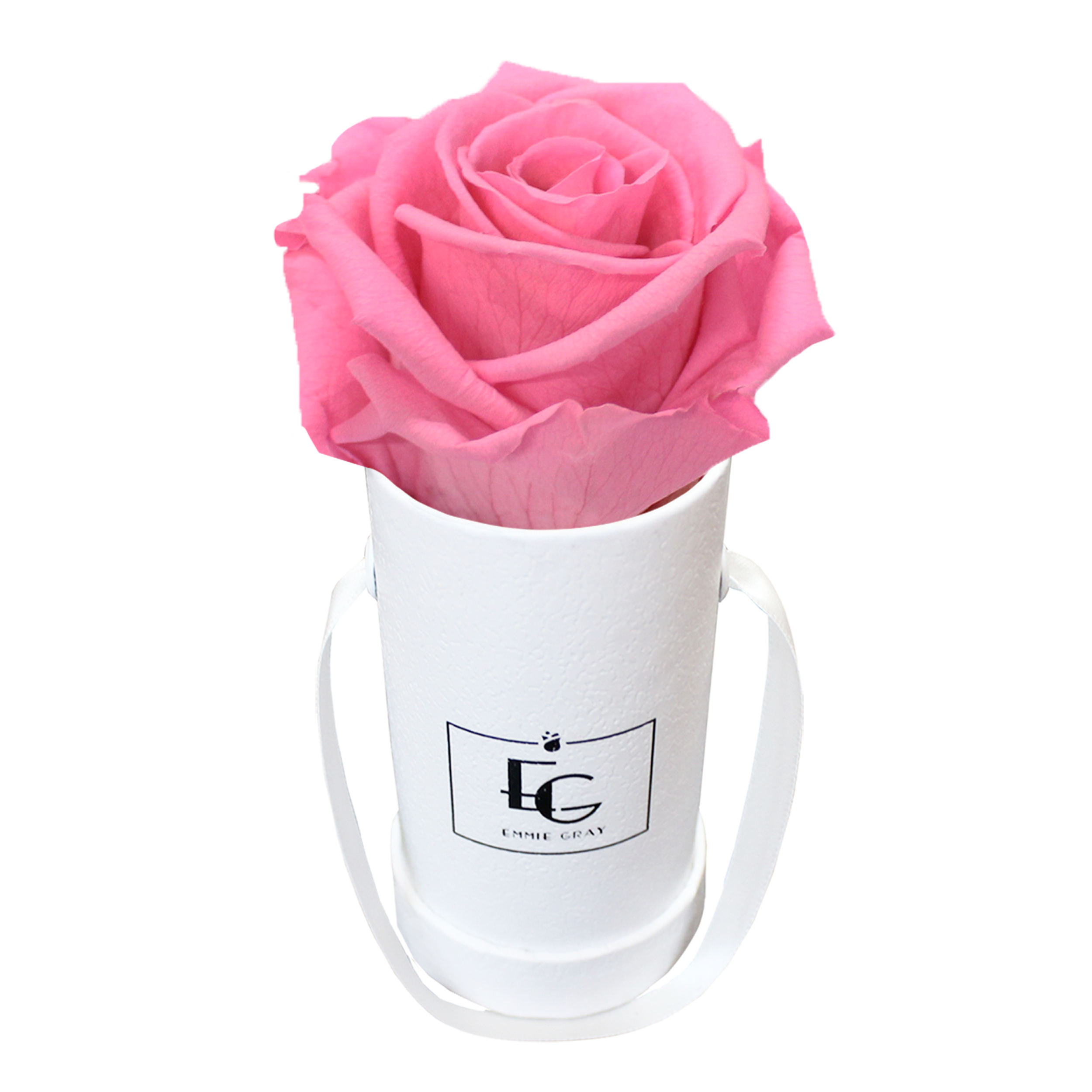 CLASSIC INFINITY ROSEBOX | BABY PINK | XXS CLASSIC INFINITY ROSEBOX | BABY PINK | XXS