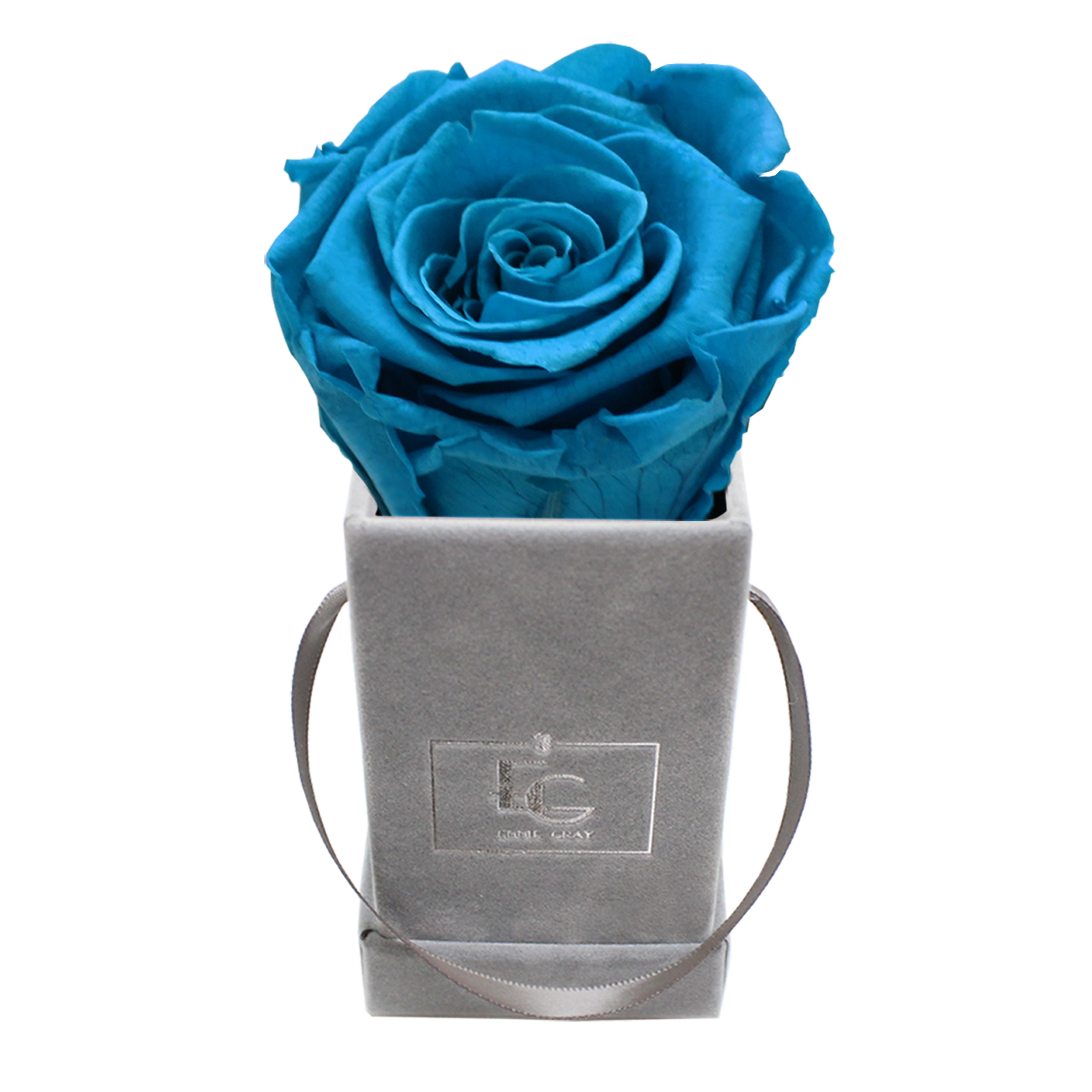 CLASSIC INFINITY ROSEBOX | AQUAMARINE | XXS