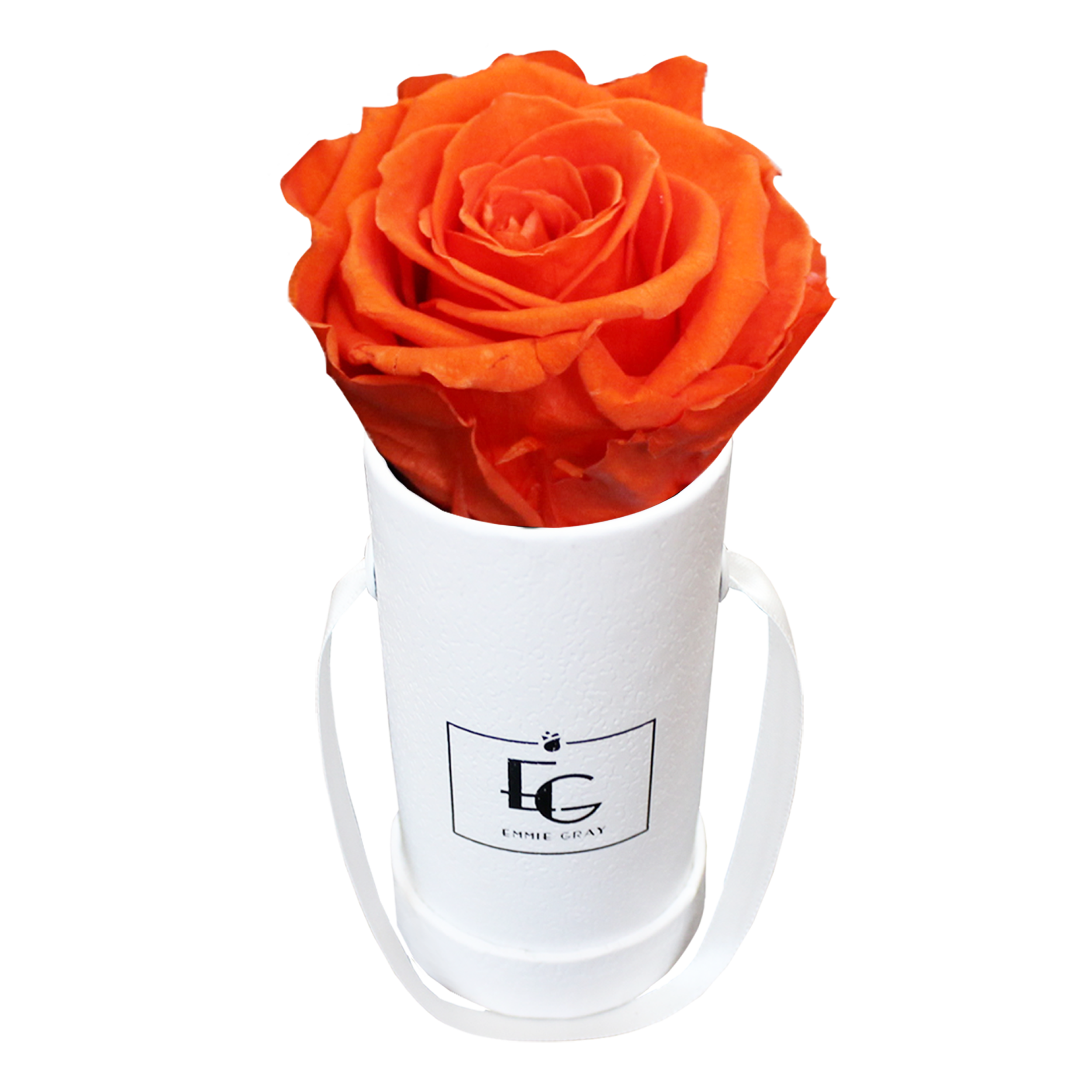 CLASSIC INFINITY ROSEBOX | ORANGE FLAME | XXS CLASSIC INFINITY ROSEBOX | ORANGE FLAME | XXS