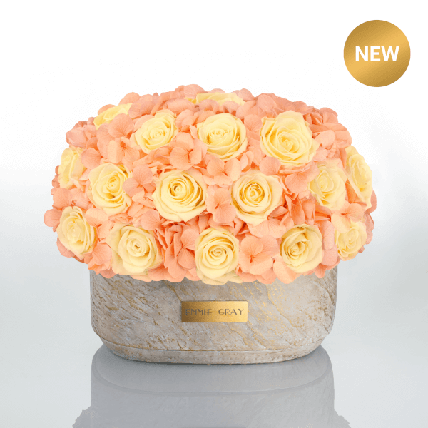 Premium Solid Splendid Mix Infinity | Champagne & Perfect Peach | M