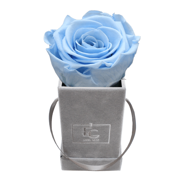 CLASSIC INFINITY ROSEBOX | BABY BLUE | XXS