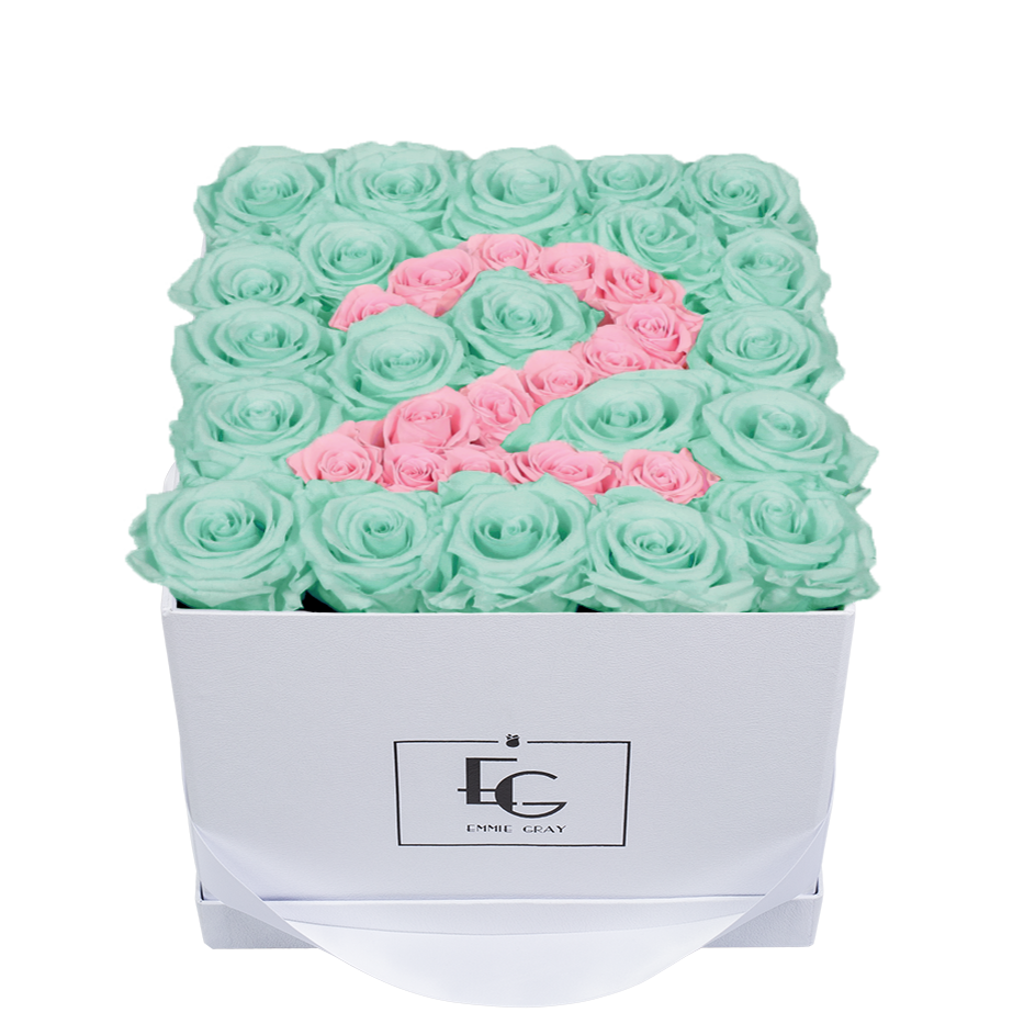 NUMBER INFINITY ROSEBOX | MINTY GREEN & BRIDAL PINK | M