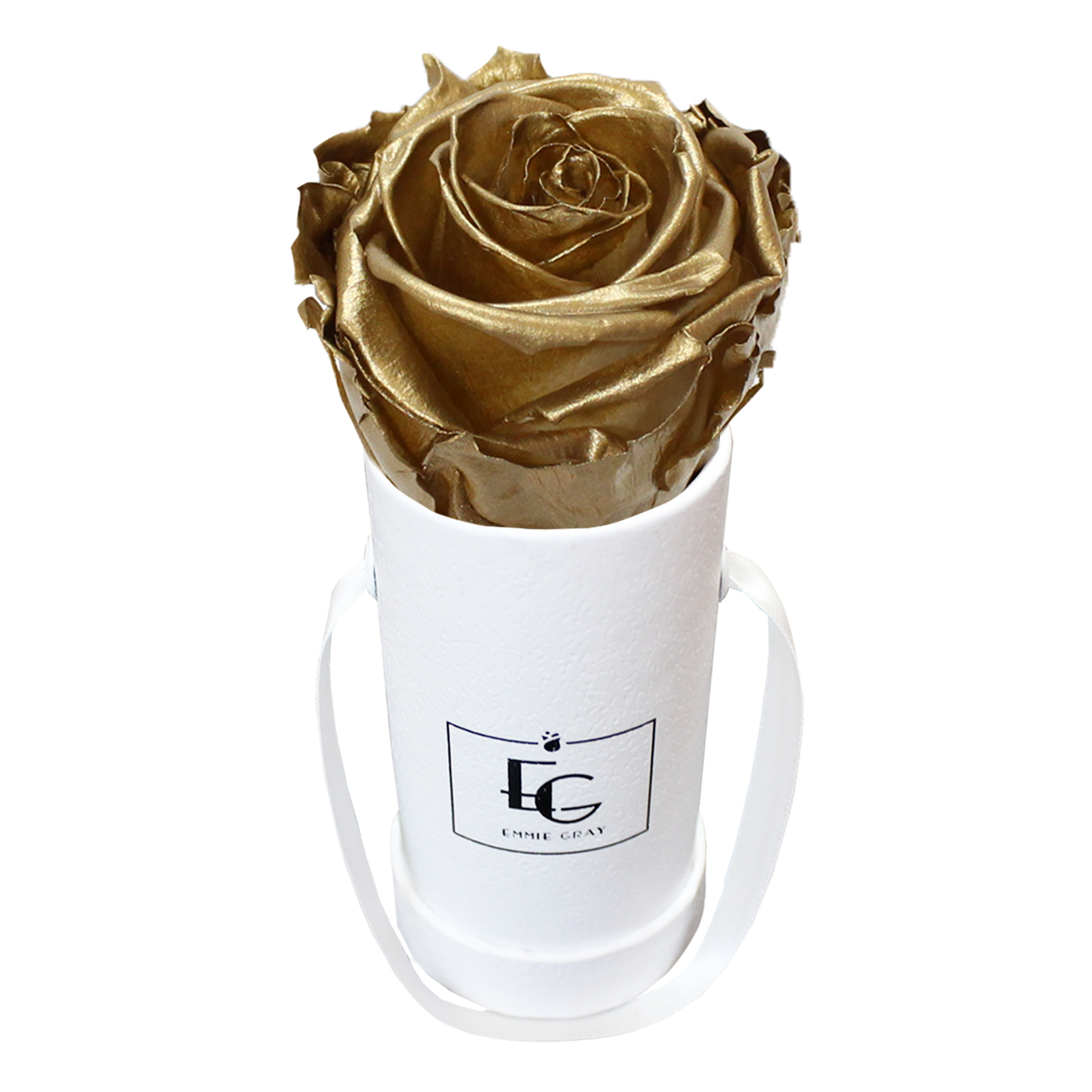 CLASSIC INFINITY ROSEBOX | GOLD | XXS