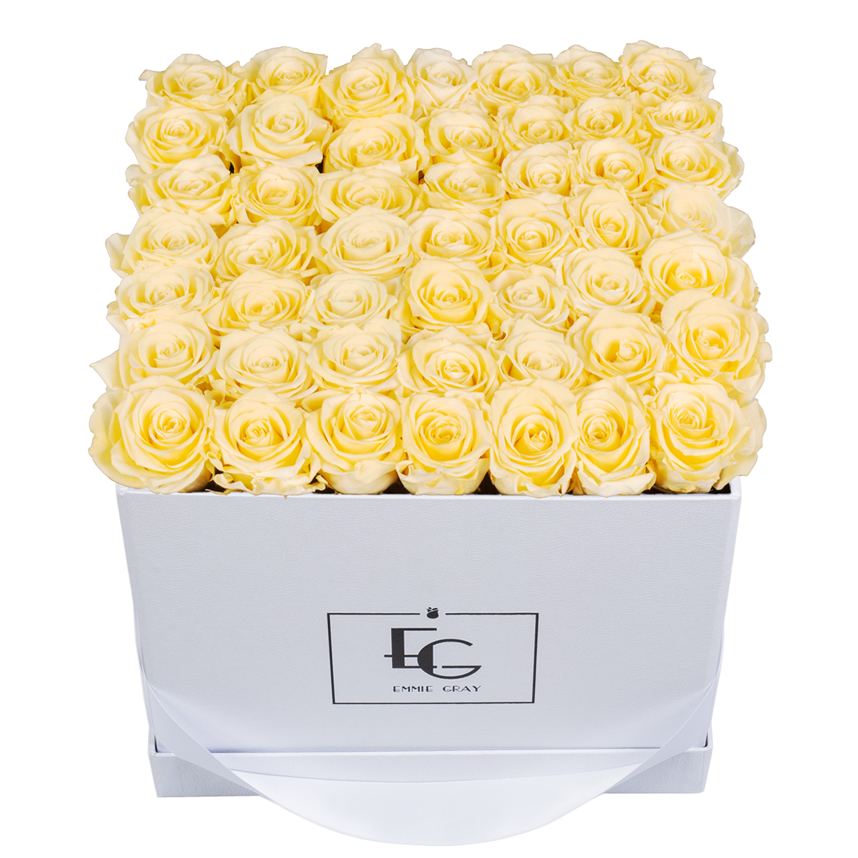 CLASSIC INFINITY ROSEBOX | CHAMPAGNE | L