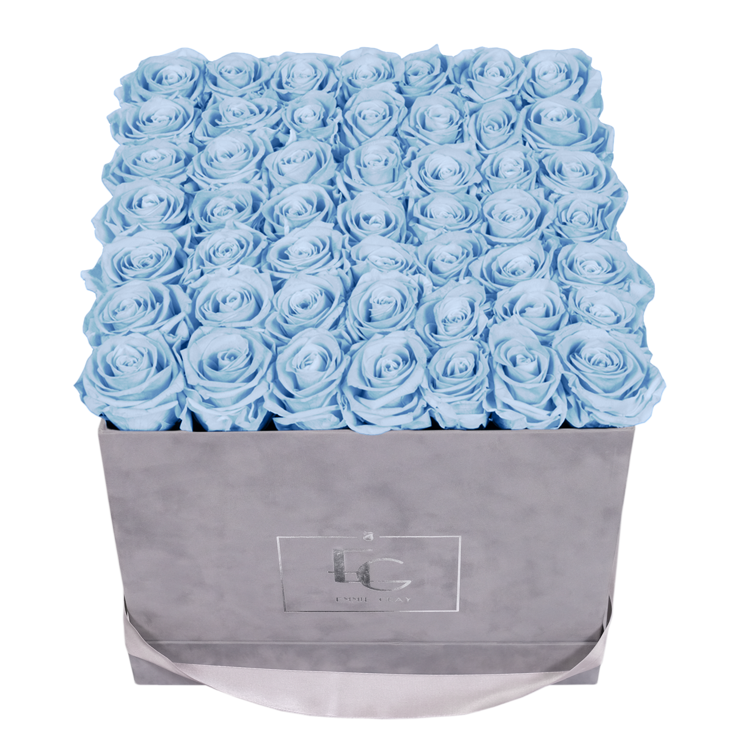 CLASSIC INFINITY ROSEBOX | BABY BLUE | L