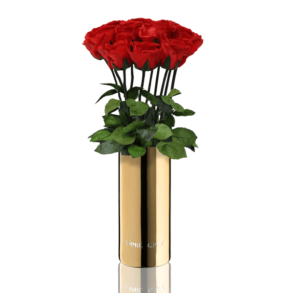 Classic Vase Set | Vibrant Red | 10 ROSES