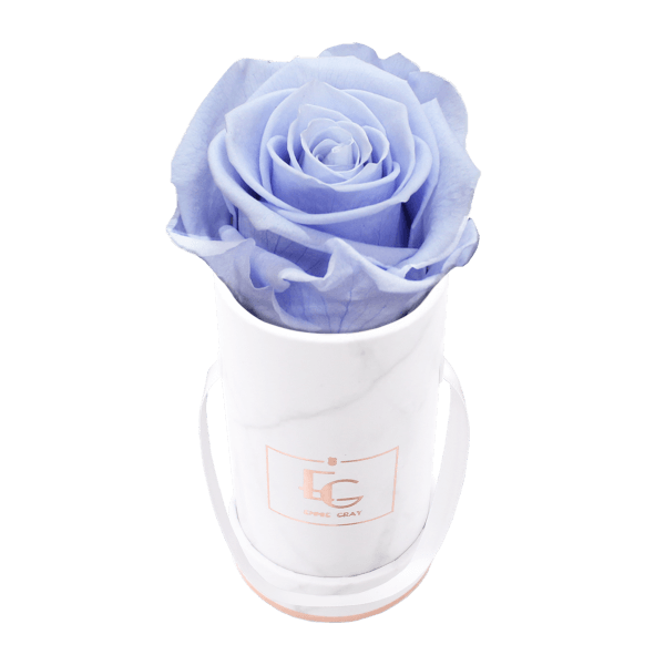 Classic Infinity Rosebox | Cool Lavender | XXS