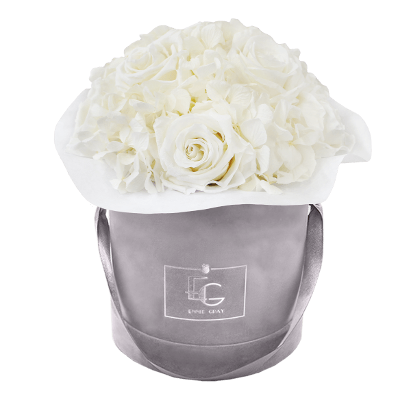 Splendid Hydrangea Infinity Rosebox | Pure White | S