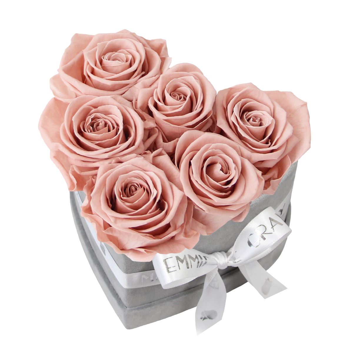 Classic Infinity Rosebox | Antique Pink | S