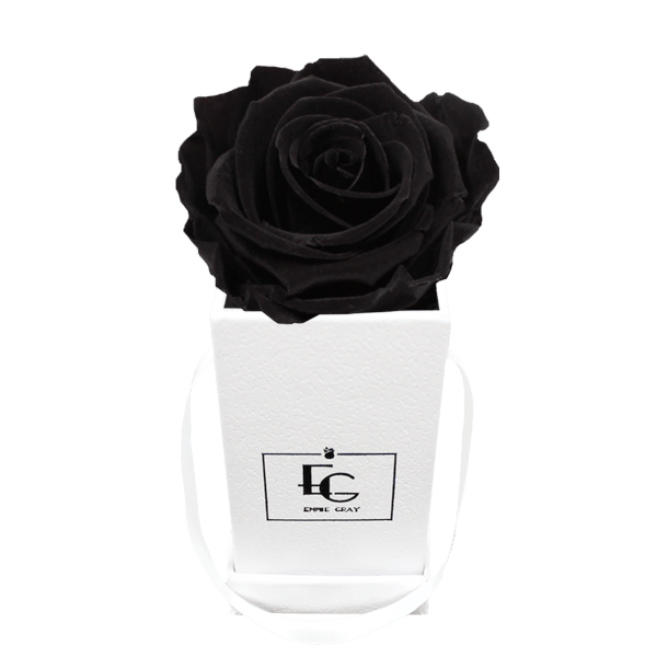 CLASSIC INFINITY ROSEBOX | BLACK BEAUTY | XXS