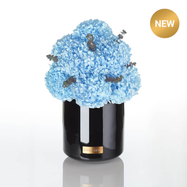 Premium Metallic Signature Hydrangea Infinity | Baby Blue | L