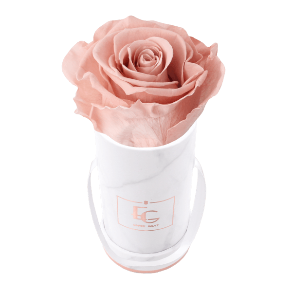 Classic Infinity Rosebox | Antique Pink | XXS