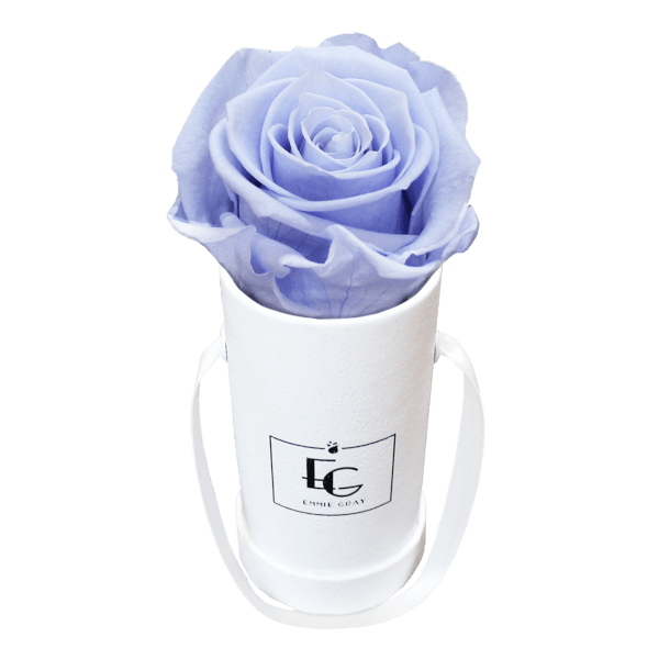 CLASSIC INFINITY ROSEBOX | COOL LAVENDER | XXS