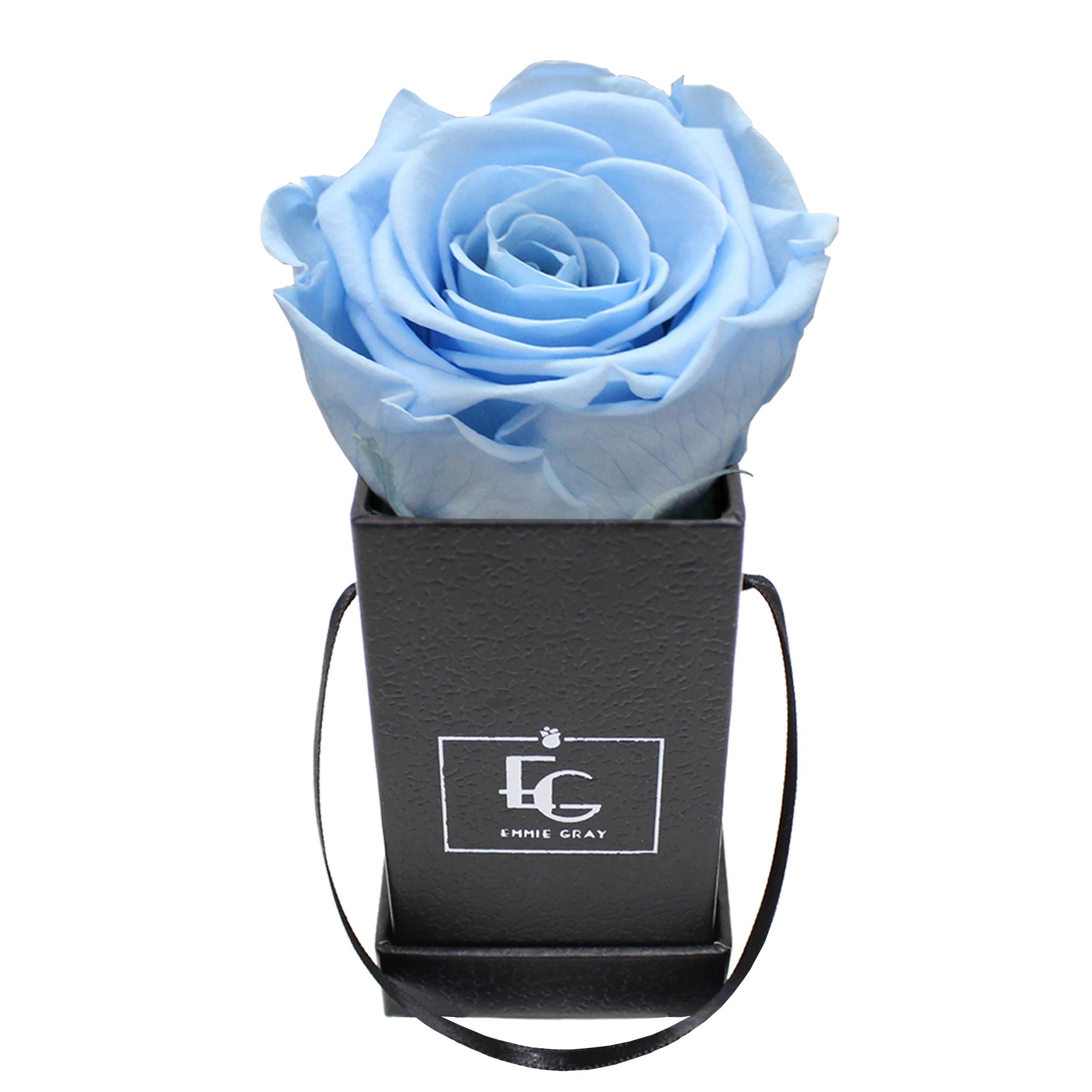 CLASSIC INFINITY ROSEBOX | BABY BLUE | XXS