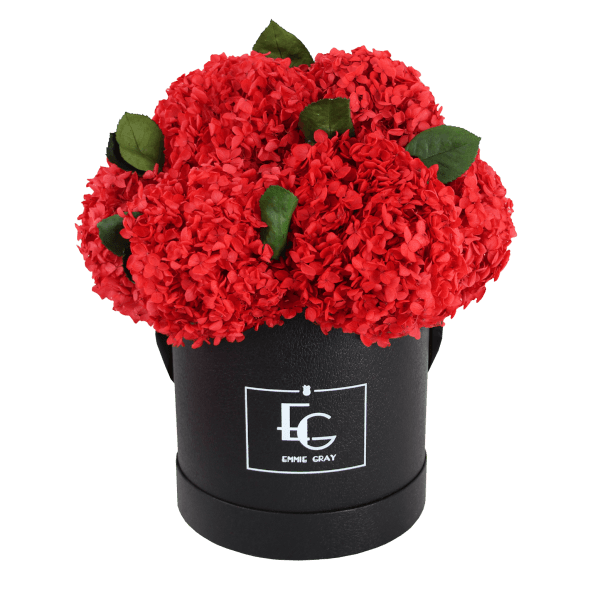 Signature Hydrangea Infinity Rosebox | Vibrant Red | M