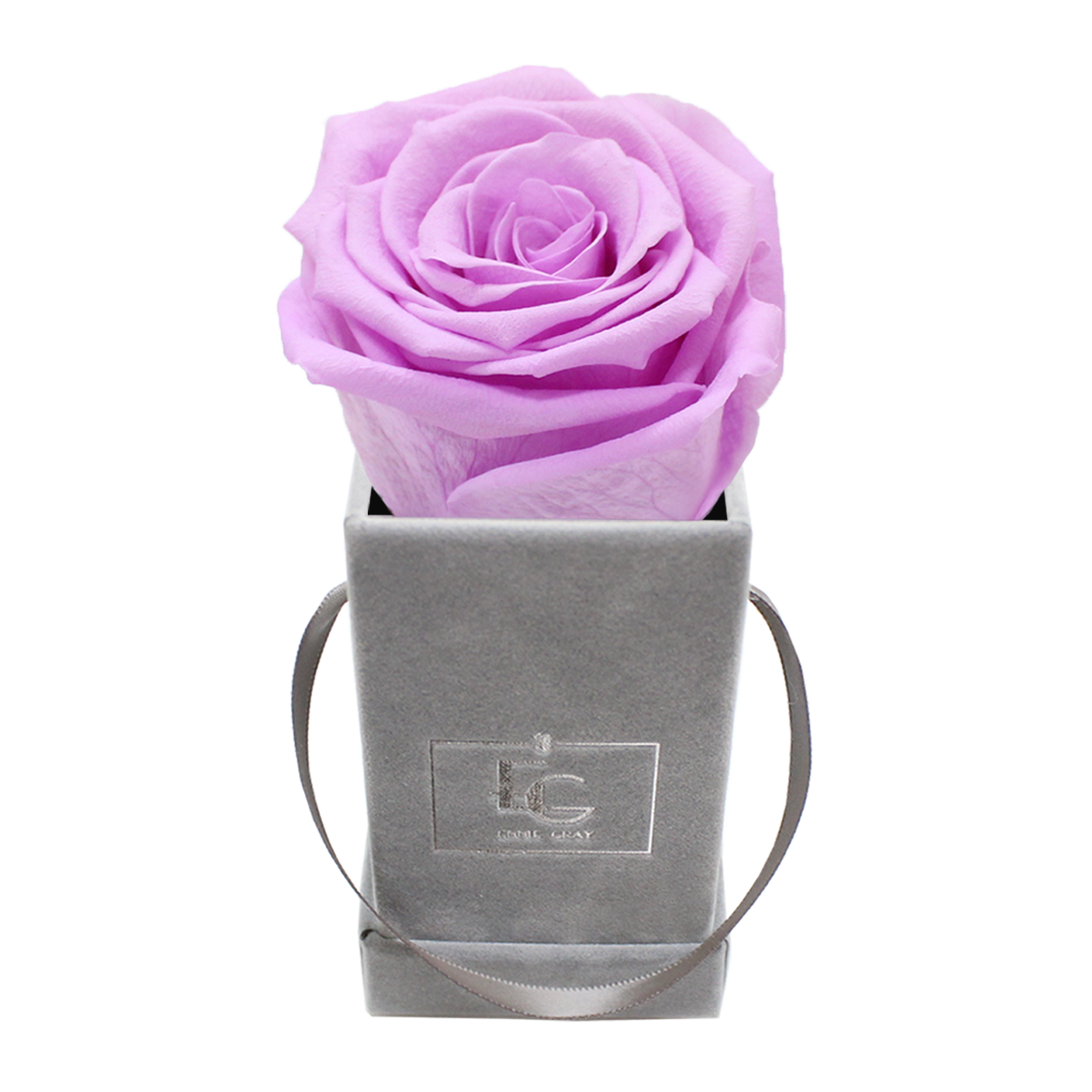 CLASSIC INFINITY ROSEBOX | BABY LILLI | XXS