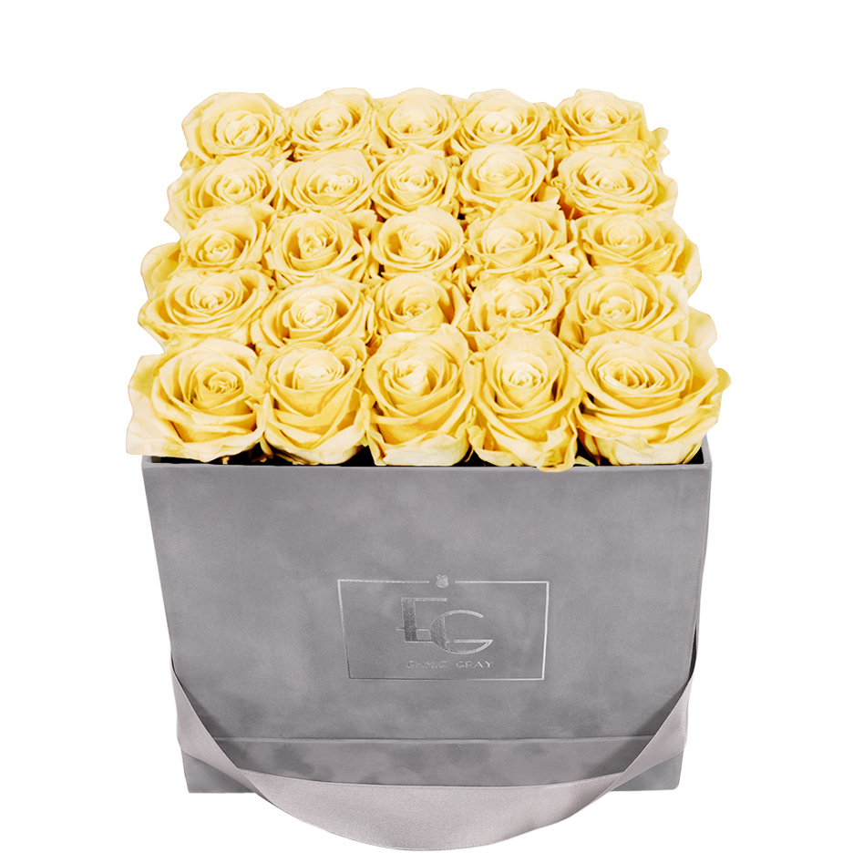 CLASSIC INFINITY ROSEBOX | CHAMPAGNE | M