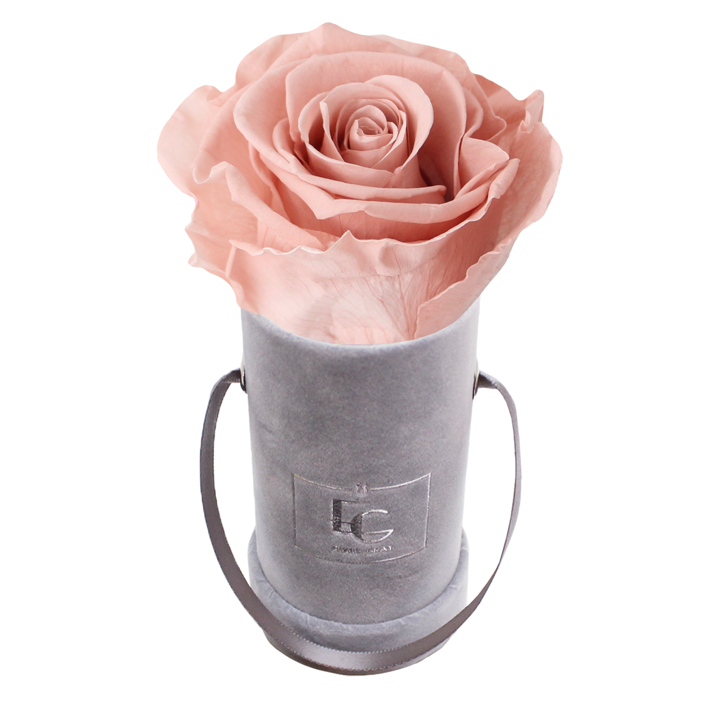 Classic Infinity Rosebox | Antique Pink | XXS