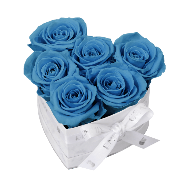 Classic Infinity Rosebox | Aquamarine | S