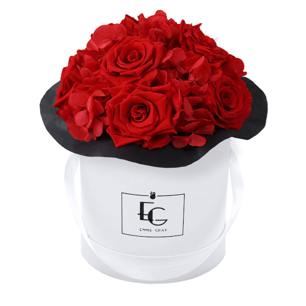 Splendid Hydrangea Infinity Rosebox | Vibrant Red | S