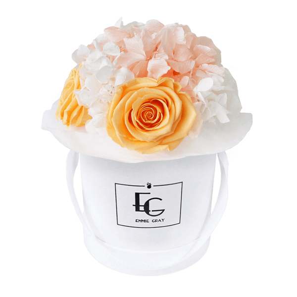 Splendid Hydrangea Mix Infinity Rosebox | Perfect Peach & Pure White | XS