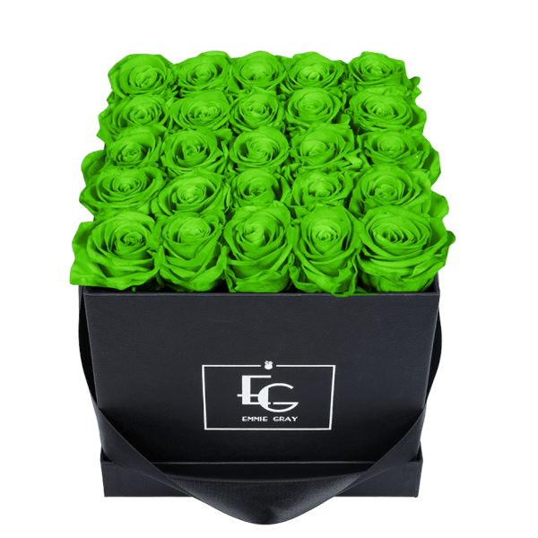 CLASSIC INFINITY ROSEBOX | GREEN GLOW | M