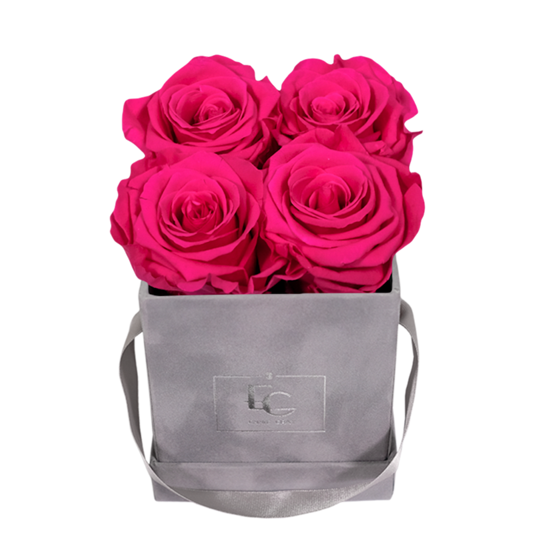 CLASSIC INFINITY ROSEBOX | HOT PINK | XS CLASSIC INFINITY ROSEBOX | HOT PINK | XS