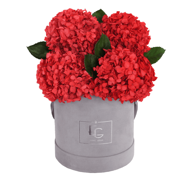 Signature Hydrangea Infinity Rosebox | Vibrant Red | S