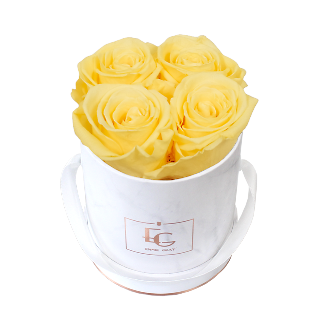 Classic Infinity Rosebox | Perfect Peach | XS