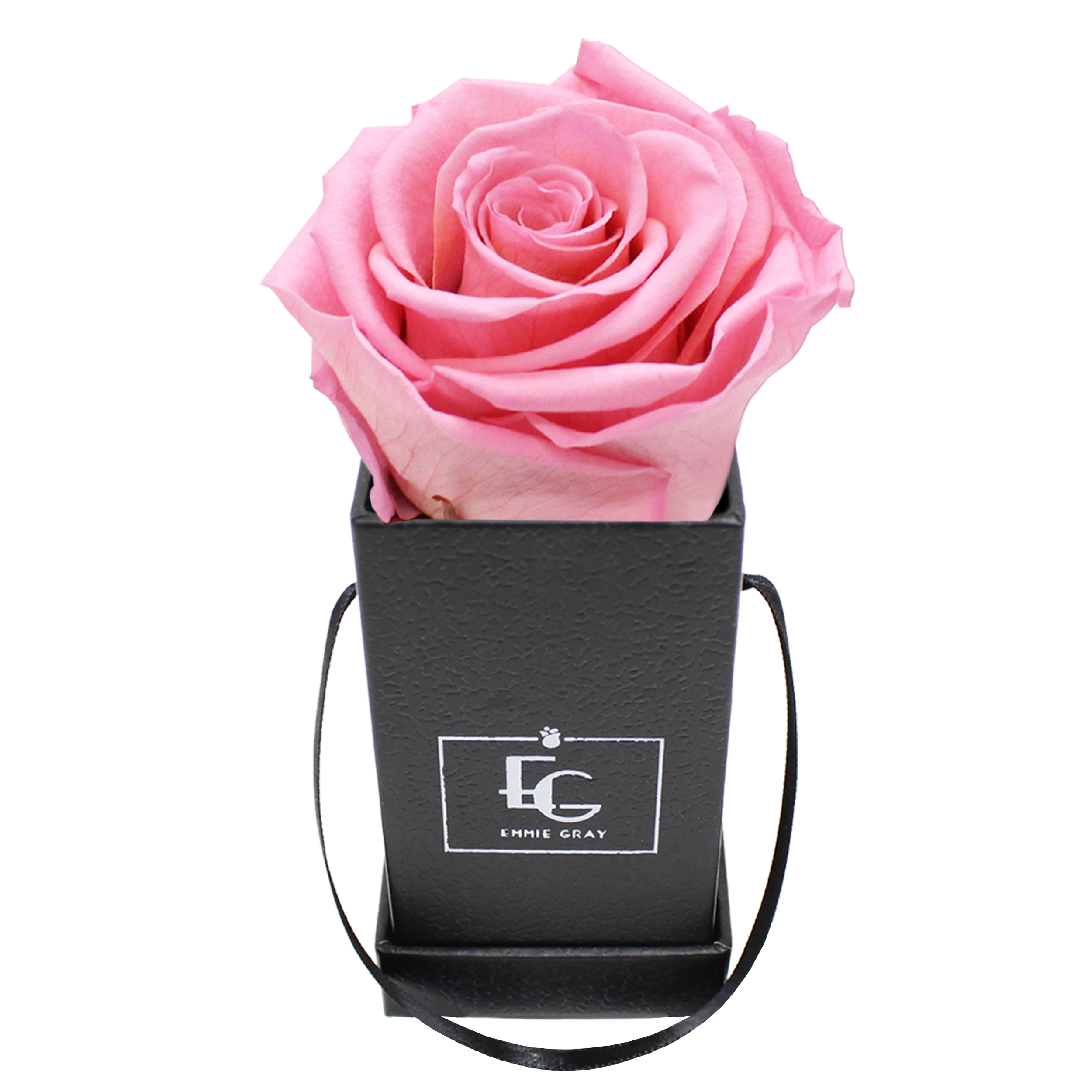 CLASSIC INFINITY ROSEBOX | BRIDAL PINK | XXS