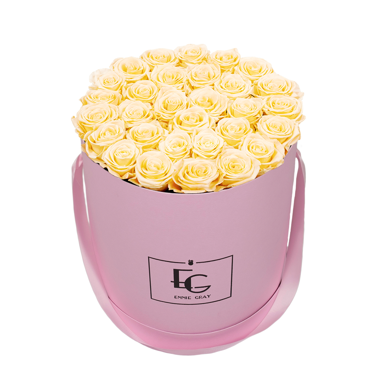 CLASSIC INFINITY ROSEBOX | CHAMPAGNE | L