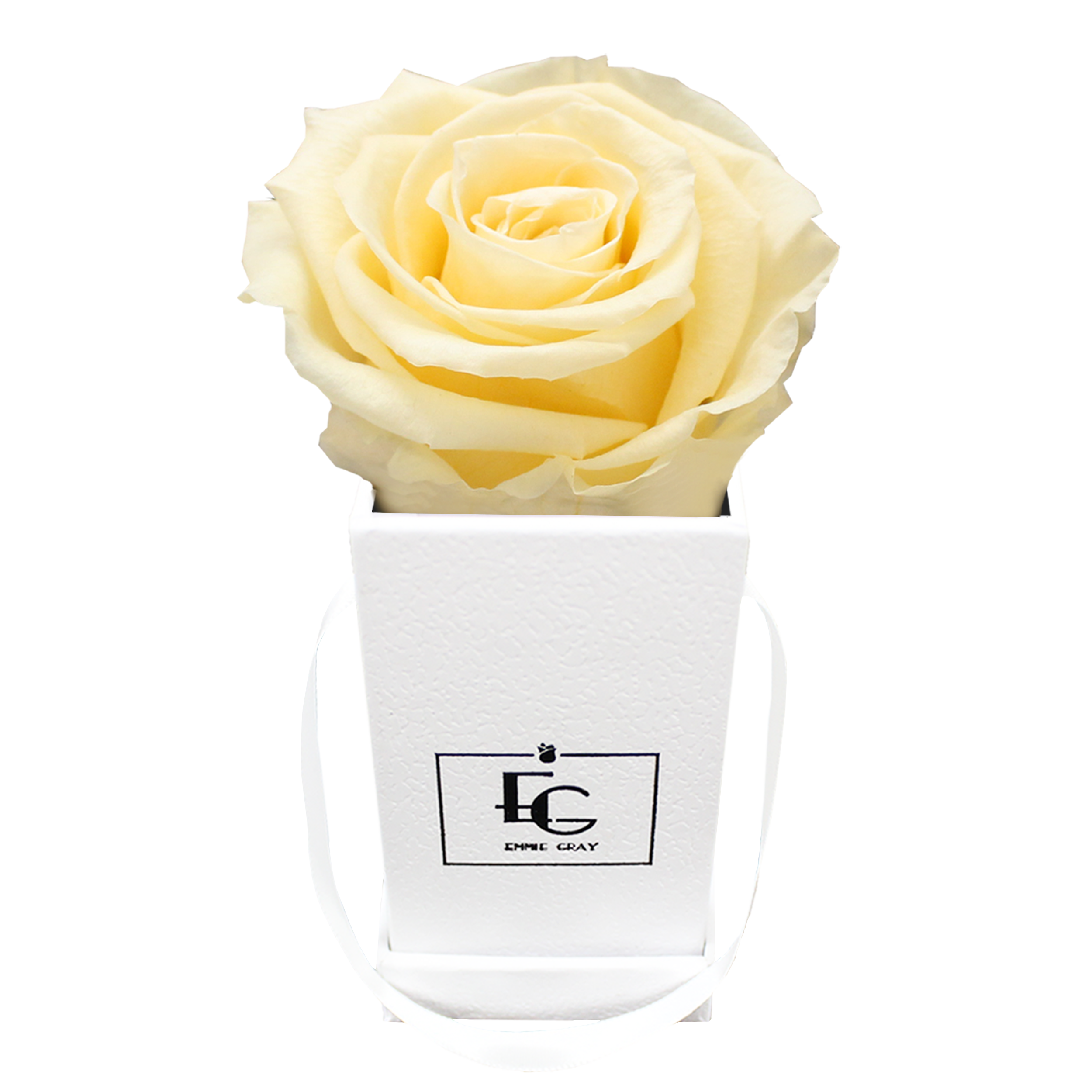 CLASSIC INFINITY ROSEBOX | CHAMPAGNE | XXS CLASSIC INFINITY ROSEBOX | CHAMPAGNE | XXS