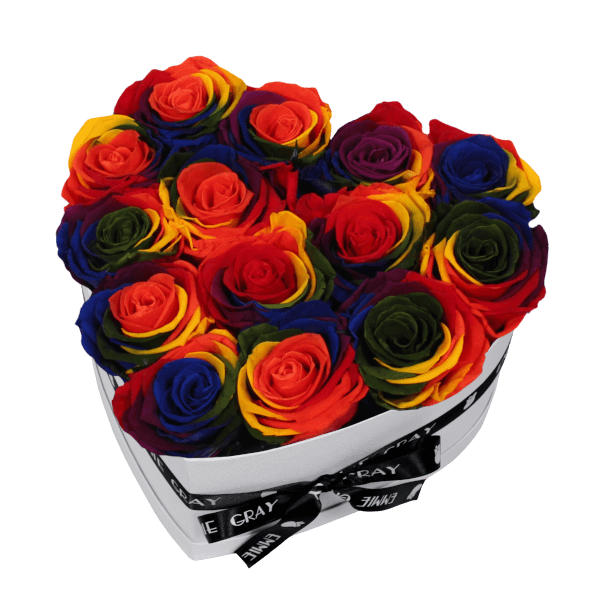 CLASSIC INFINITY ROSEBOX | RAINBOW | M