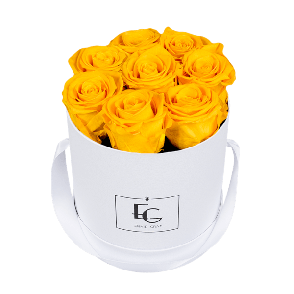 CLASSIC INFINITY ROSEBOX | SUNNY YELLOW | S