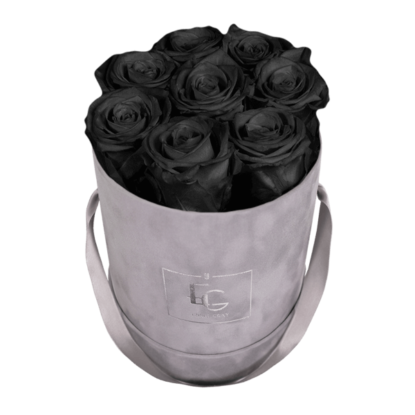 CLASSIC INFINITY ROSEBOX | BLACK BEAUTY | S