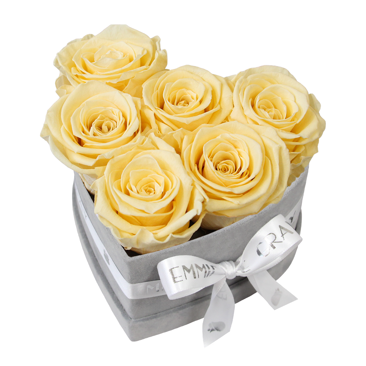 Classic Infinity Rosebox | Champagne | S