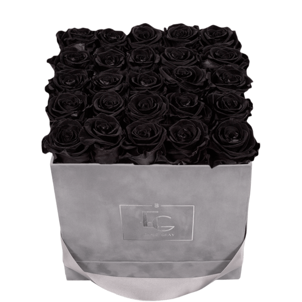 CLASSIC INFINITY ROSEBOX | BLACK BEAUTY | M