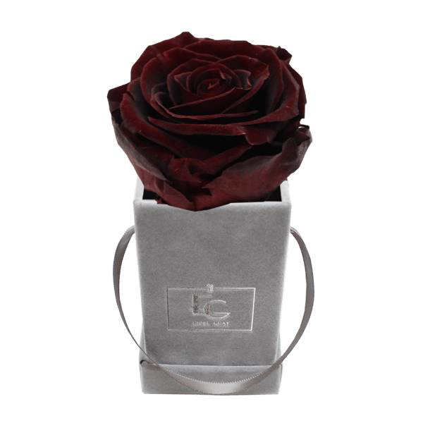 CLASSIC INFINITY ROSEBOX | BURGUNDY | XXS